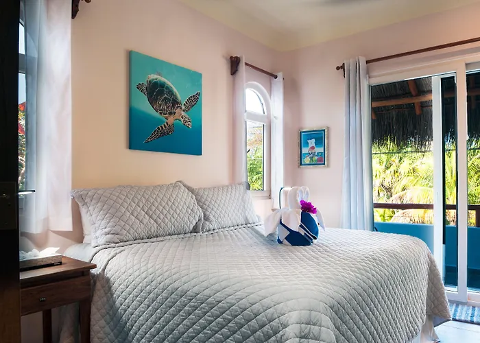 Casa Sonoma - Charming Minutes From & Reef Appartement *