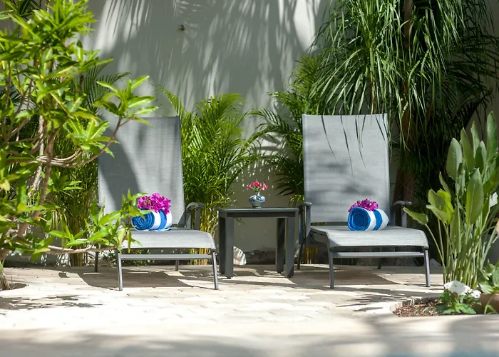 Casa Sonoma - Charming Minutes From & Reef Appartement *